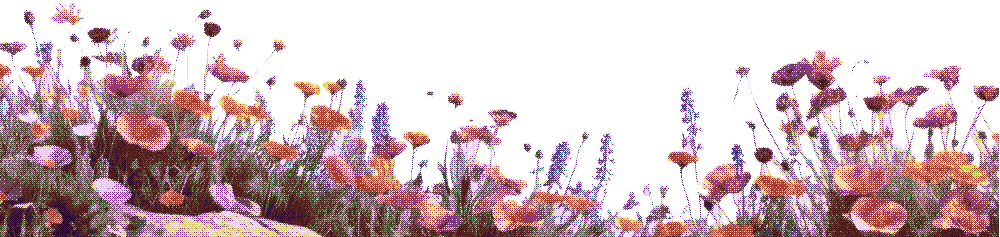 flowerz